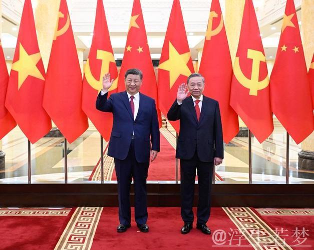 习近平与越共中央总书记苏林举行会晤 习近平与越共中央总书记苏林举行会晤