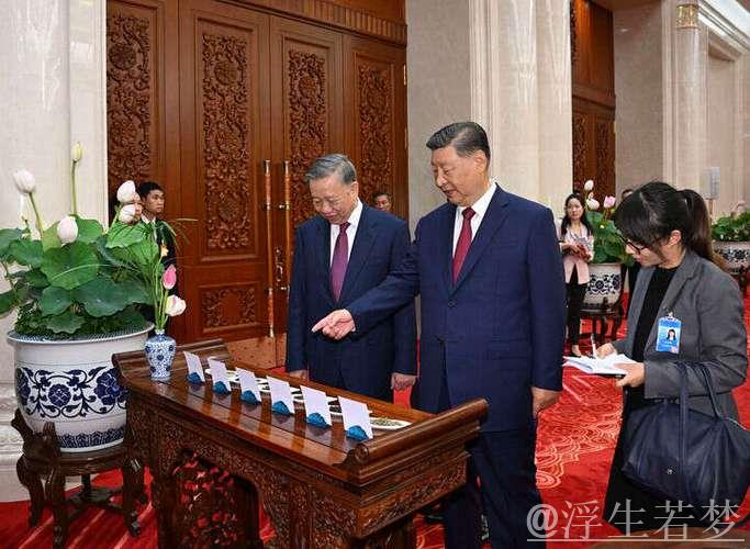 习近平与越共中央总书记苏林举行会晤 习近平与越共中央总书记苏林举行会晤