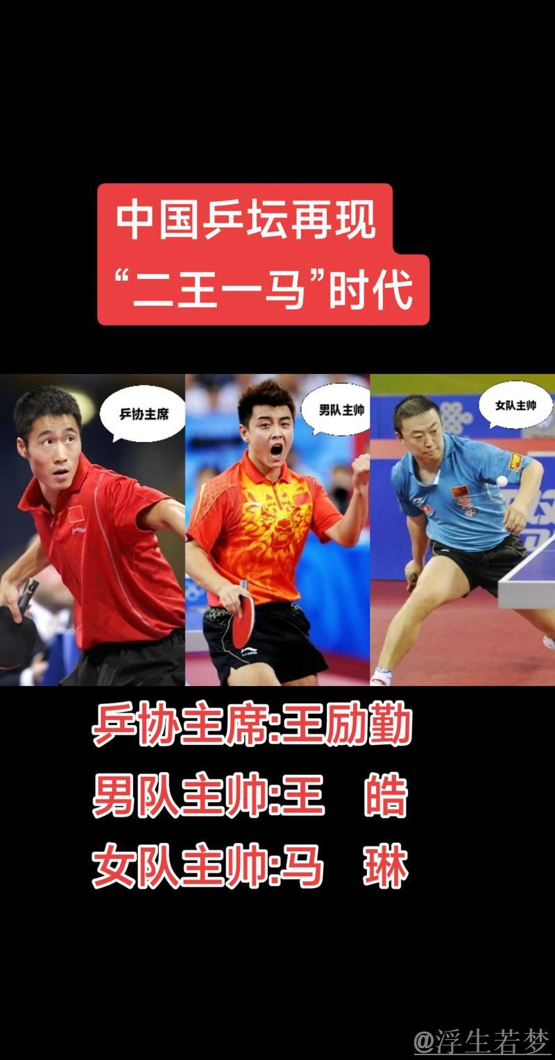 国乒的二王一马时代,王励勤与马琳的精彩对决瞬间,看得真是太过瘾了! 国乒的二王一马时代,王励勤与马琳的精彩对决瞬间,看得真是太过瘾了!